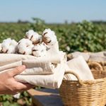 Which Fabric is Highly Sustainable and Future of Fashion?