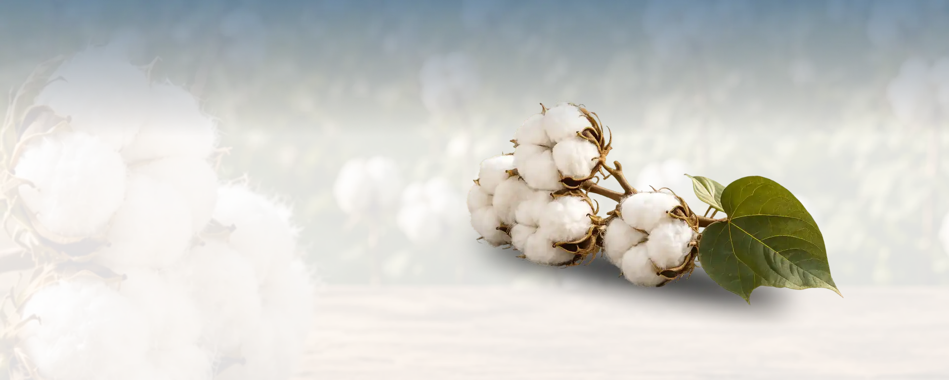 organic cotton manufacturers in india